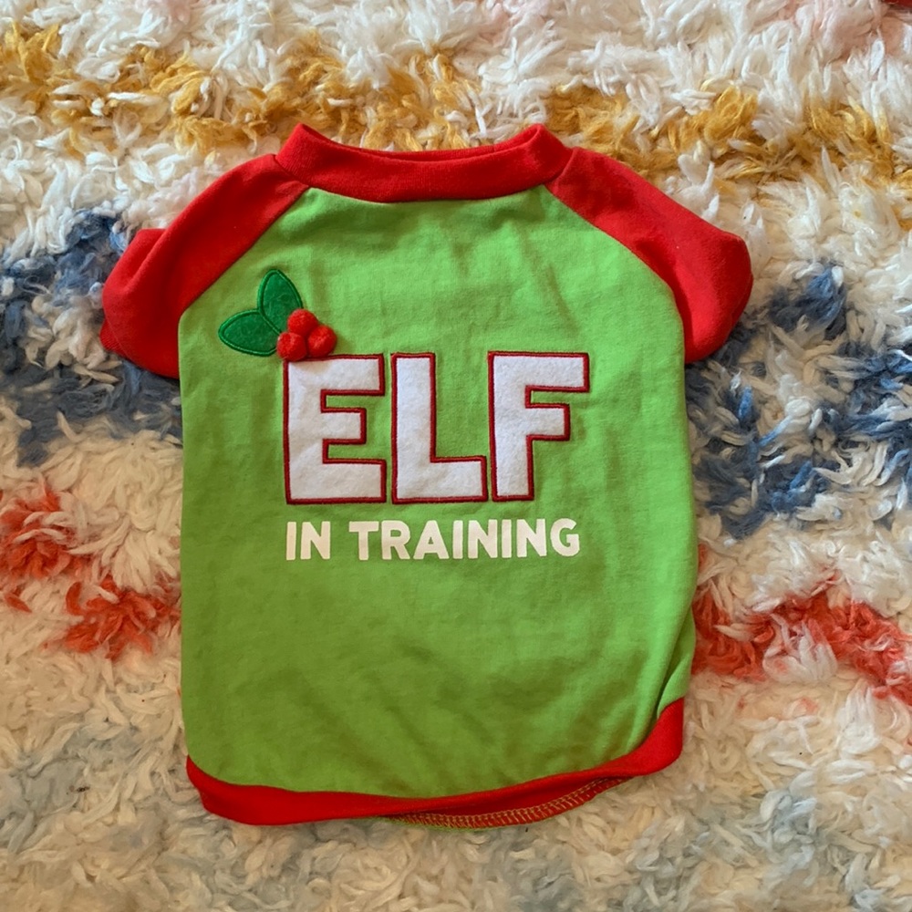 Elf in Training Christmas Pet Clothes